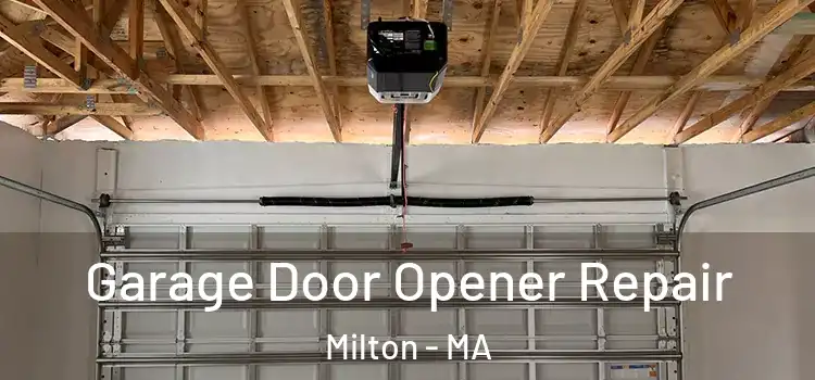  Garage Door Opener Repair Milton - MA