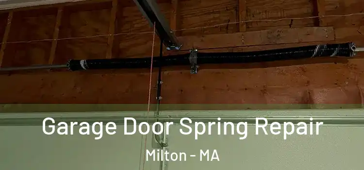  Garage Door Spring Repair Milton - MA