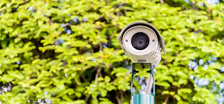 Advanced Surveillance Solutions for Every Need in Milton