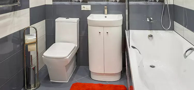 Hansgrohe Shaving Mirror Milton